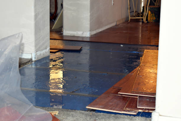 Professional Burst Pipe Cleanup technician working in Clinton, UT